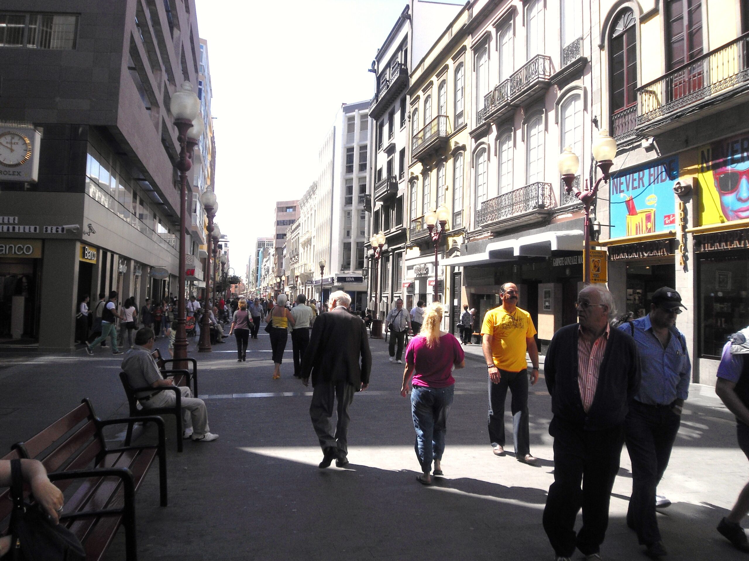 Kanarier Unternehmen scaled