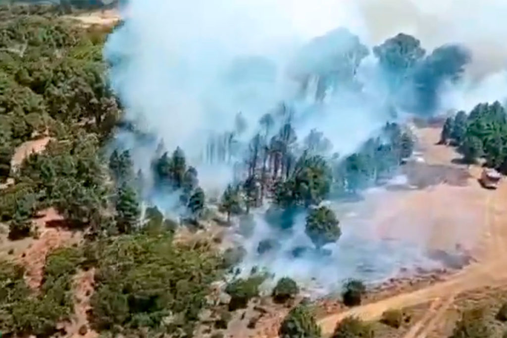 Waldbrand 1