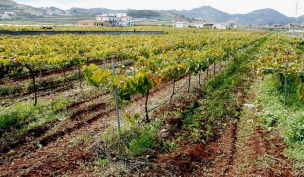 Weinfest