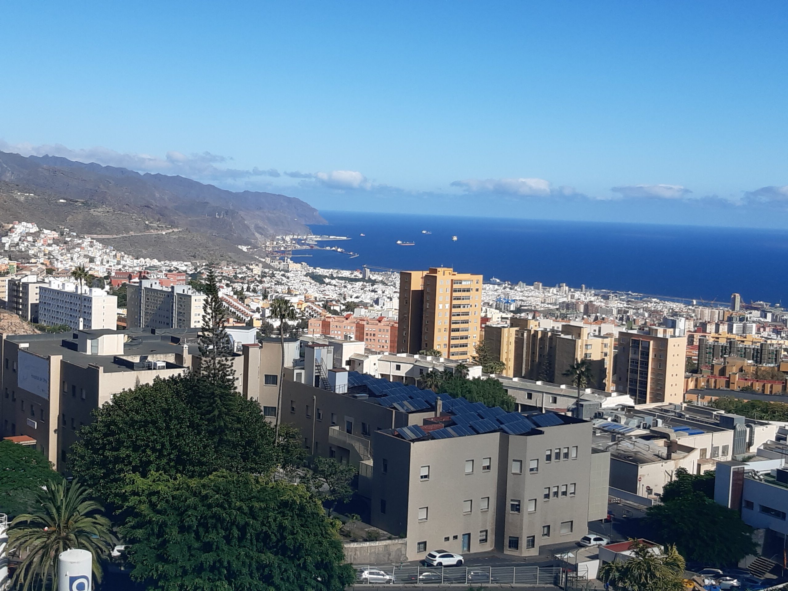 Viele scaled e1758876570286