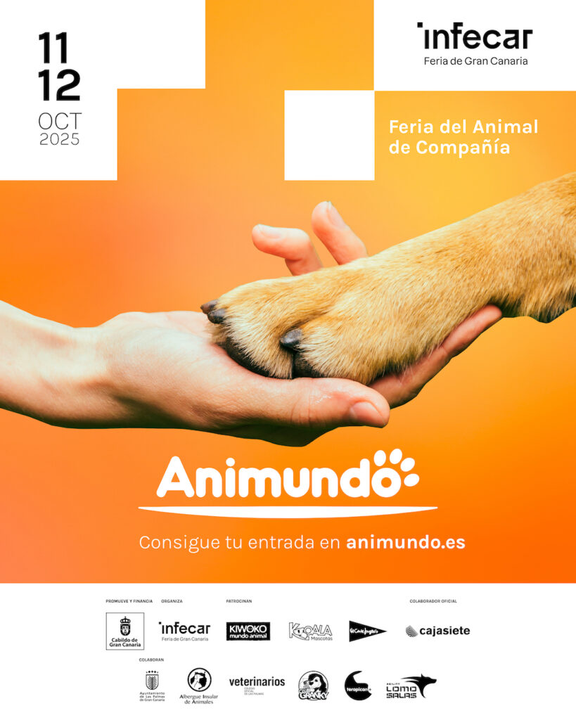 Animundo