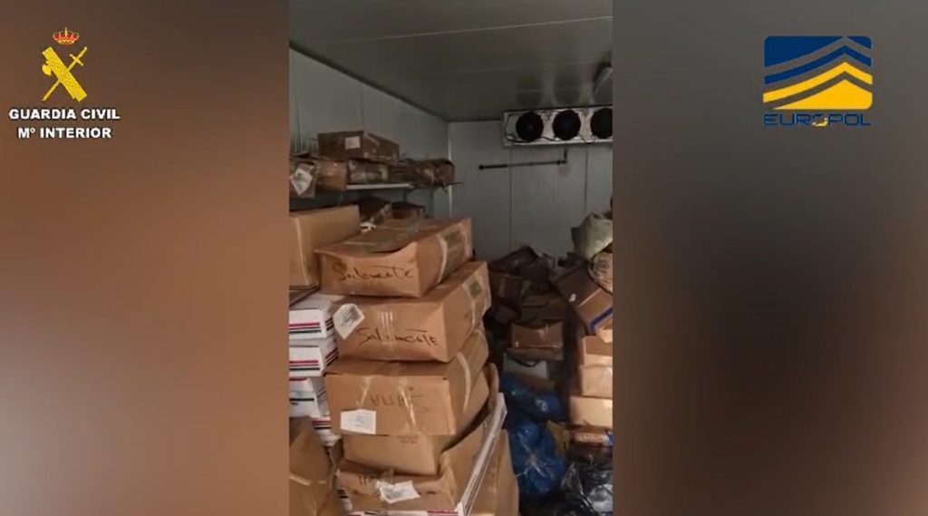 Organisierter