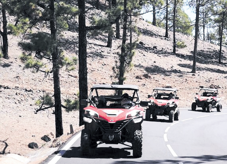 Teneriffa-Süd, Vilaflor: Quadalarm in Vilaflor 1 QUad