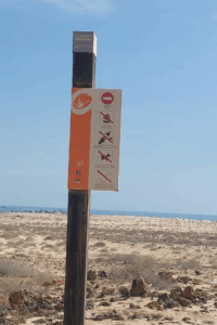 Fuerteventura, Corralejo: Keine freilaufenden Hunde in den Dünen 12 keine freilaufenden