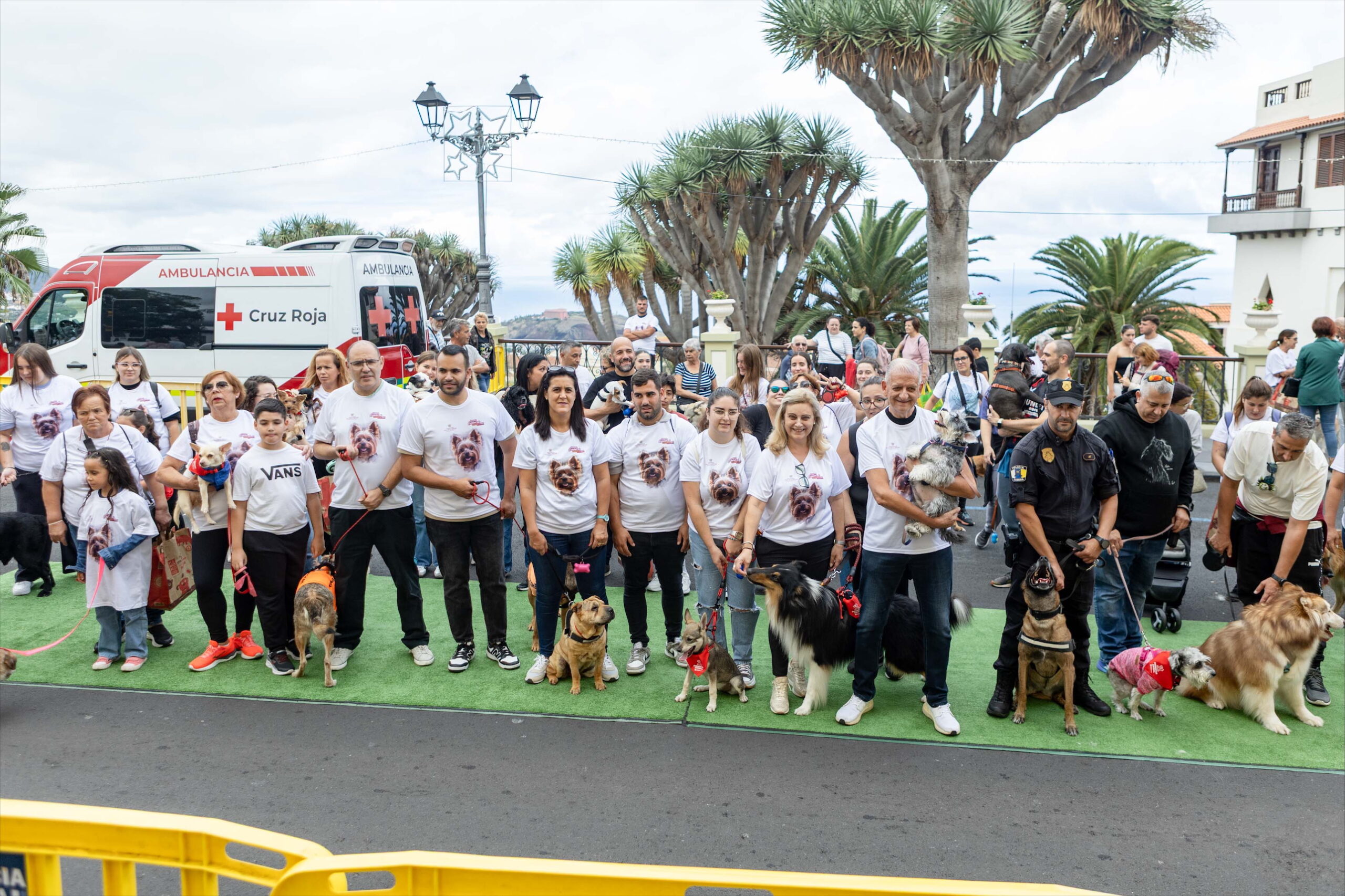 Erfolgreicher scaled