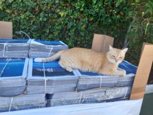 Hurra scaled e1761993180962