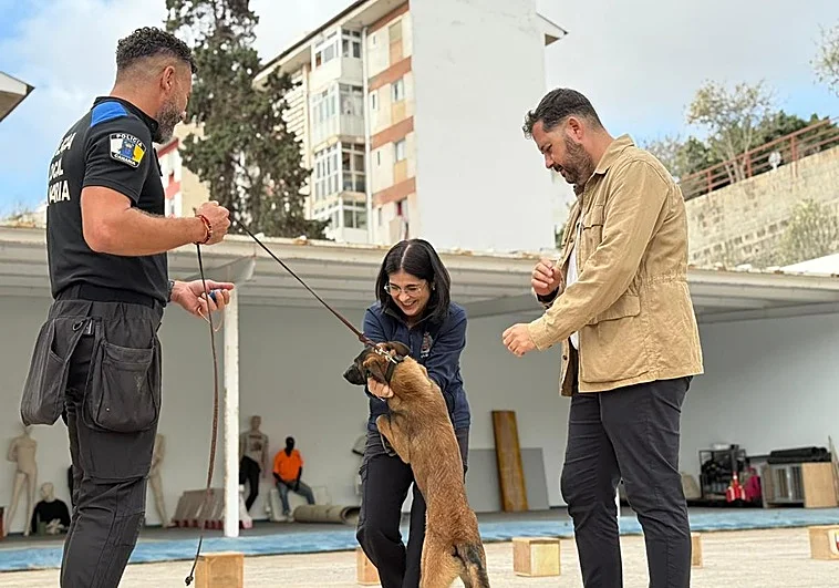Gran Canaria-Nord, Las Palmas: Polizeihunde lassen Anwohner nicht schlafen 1 Polizeihunde