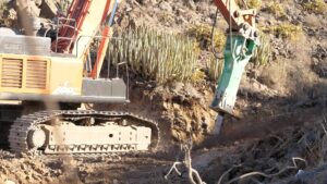 Teneriffa-Nordost, Santa Cruz: <em>Underwater Garden</em> soll gestoppt werden 8 UNderwater