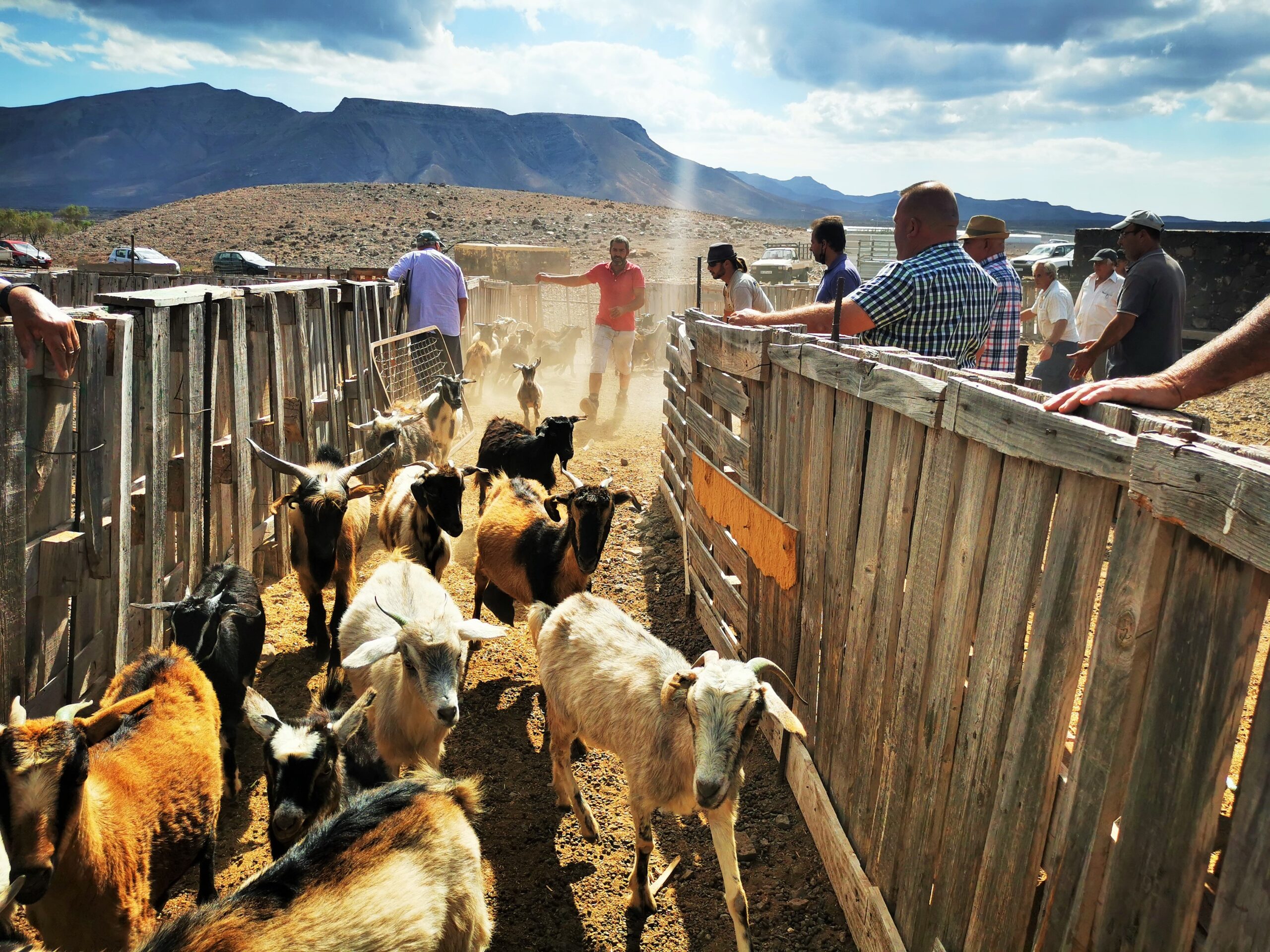 Unterstuetzung scaled