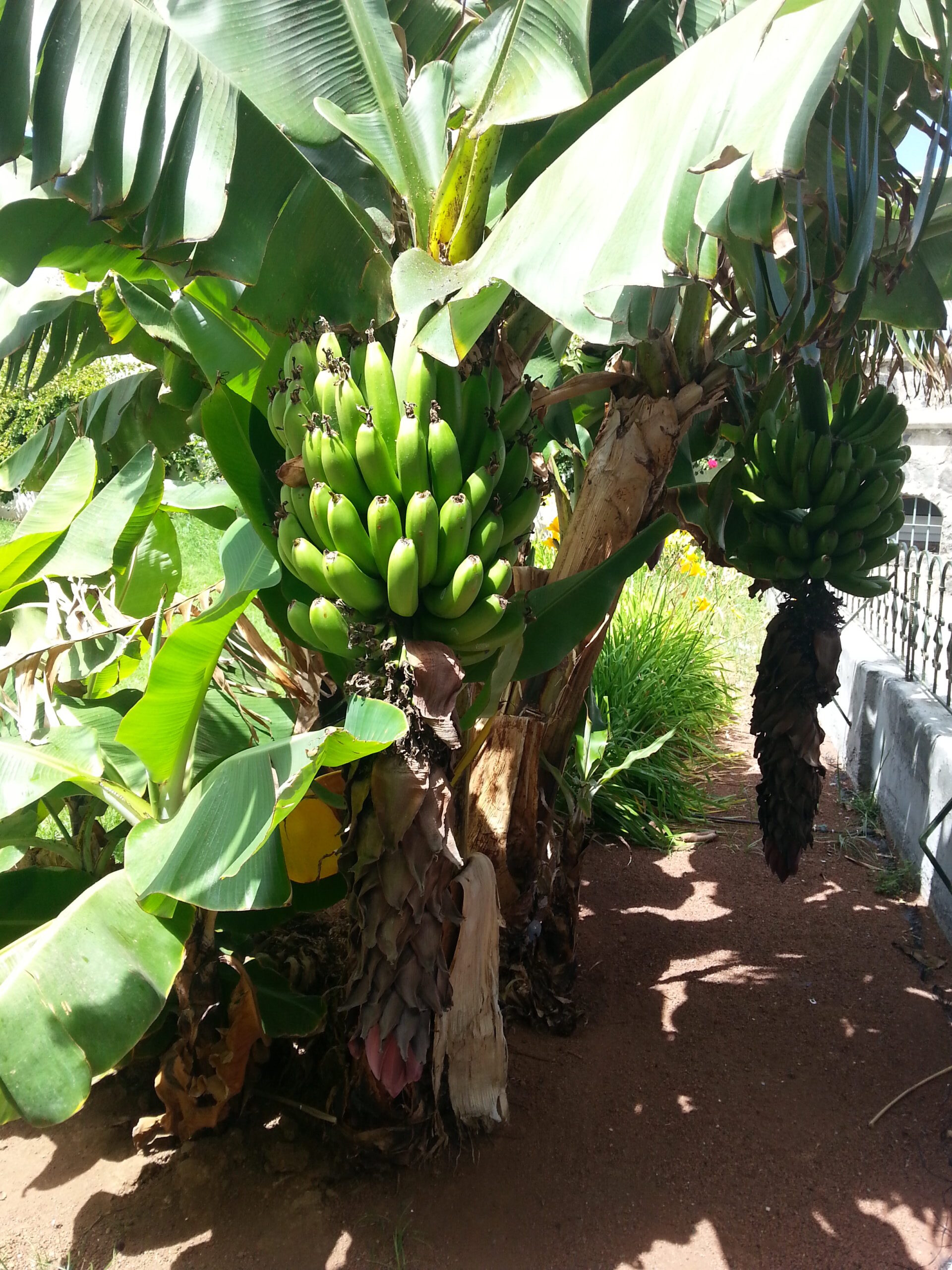 Vulkanhilfen scaled e1762335932982