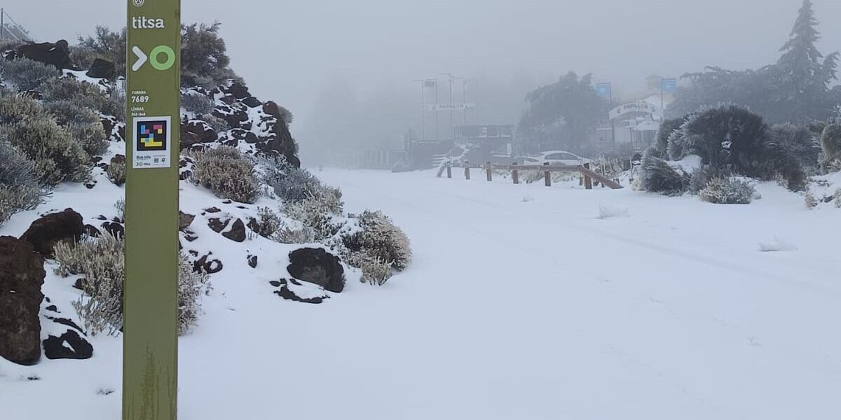 Kanarische Inseln, Teneriffa: Ab in den Schnee – Gratisbusse zum Teide 1 Ab in den