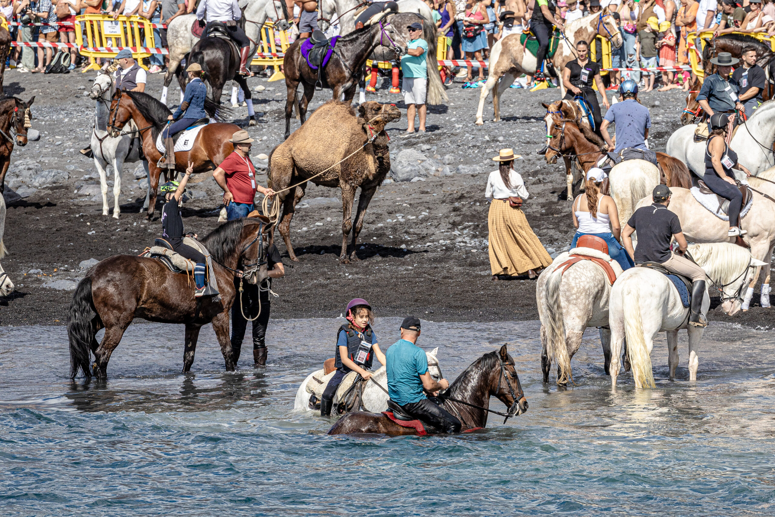 Teneriffa-Süd, Adeje: Anmeldeliste für San Sebastián ist geöffnet 1 Anmeldelisten scaled