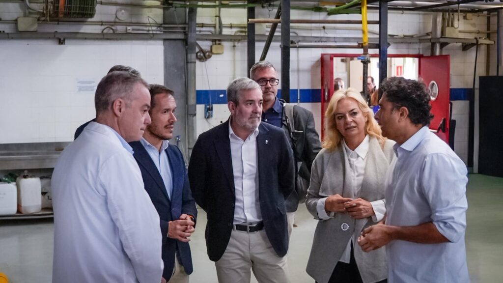 Lanzarote, Arrecife: Lanzarote setzt auf grüne Energie 99 Lanzarote