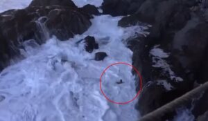 La Palma, Tijarafe: Schon wieder alle Warnungen in den Wind geschlagen 9 SChon wieder