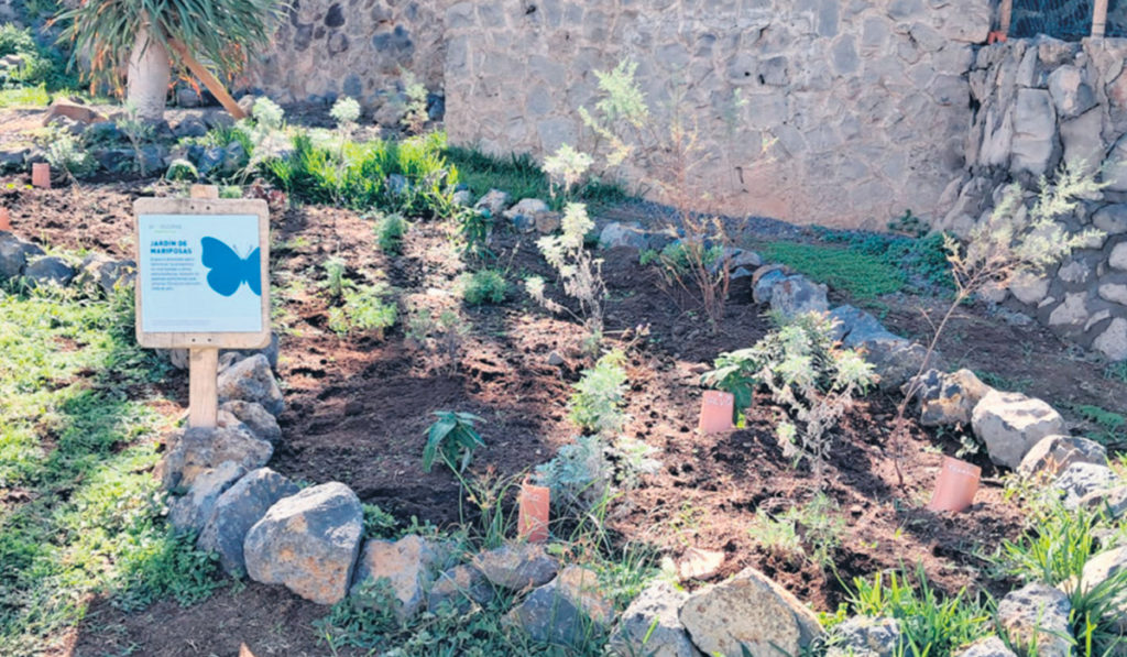 Schmetterlingsgarten