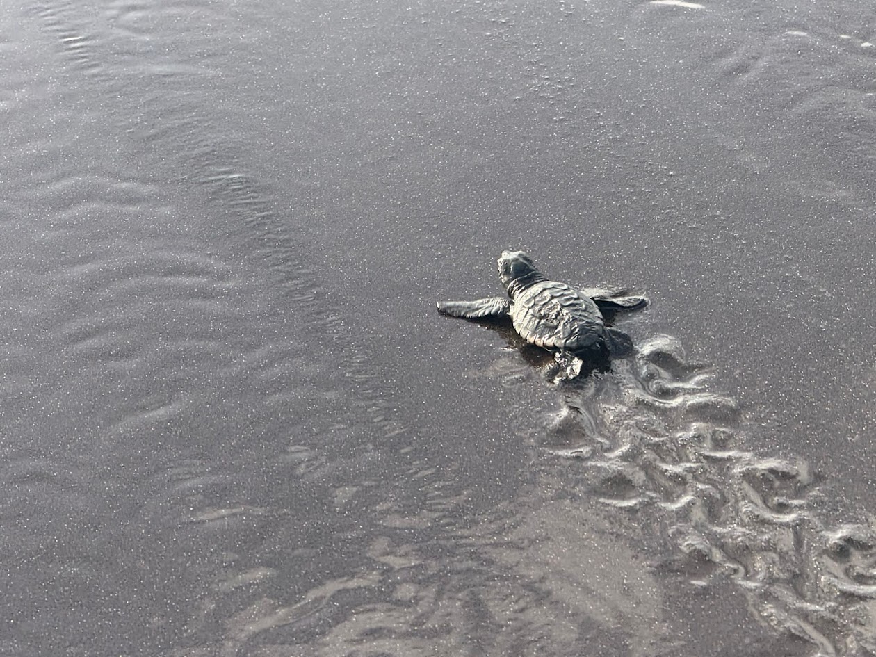 Teneriffa-Nordost, Santa Cruz: Teneriffa beteiligt sich am Projekt RedCentros in Afrika 1 Teneriffa