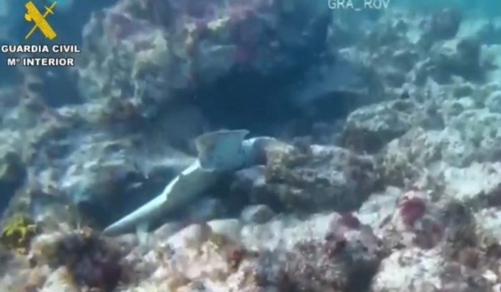 Lanzarote, Arrecife: Zwei Fischwilderer festgenommen 99 Zwei 1