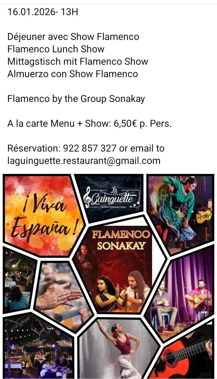Flamenco 1