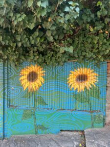 PHOTO 2025 07 27 18 24 27