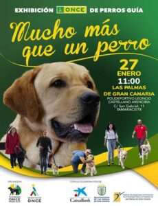 Gran Canaria-Nord, Las Palmas: Präsentation von Blindenführhunden 6 Praesentation