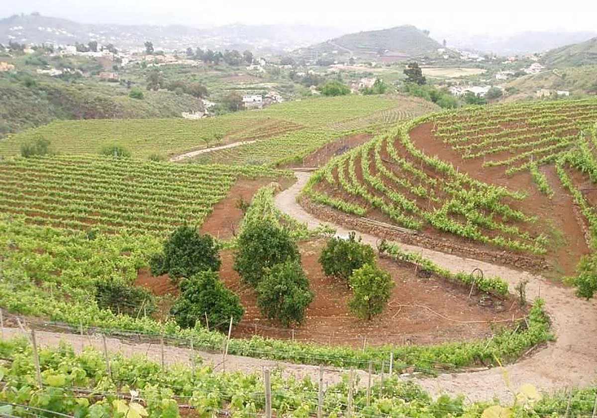 Gran Canaria, Las Palmas: Regensegen auf Gran Canaria 1 Regensegen