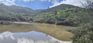 Teneriffa-Nord, El Tanque: Charcos von Erjos führen Wasser 11 charcos