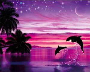 diamond painting dolphins having fun animals landscapes global figuredart free shipping 912