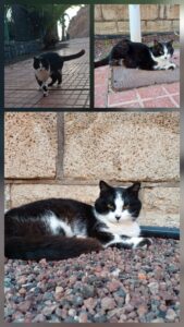 33157506 754f 4d79 8480 e2581db3a49f