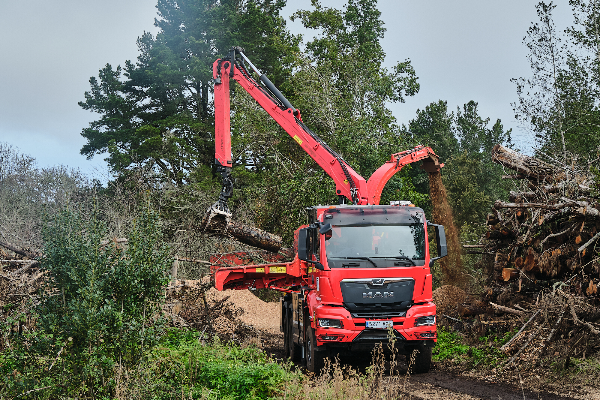 Teneriffa-Nord, El Sauzal: Aufforstung in El Sauzal 1 Aufforstung 1