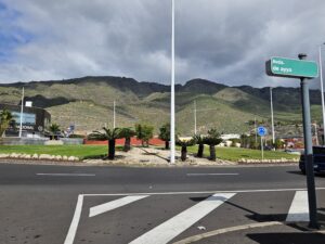 Teneriffa-Süd, Adeje: Aufforstung entlang der Avendia de Ayyo 12 Aufforstung