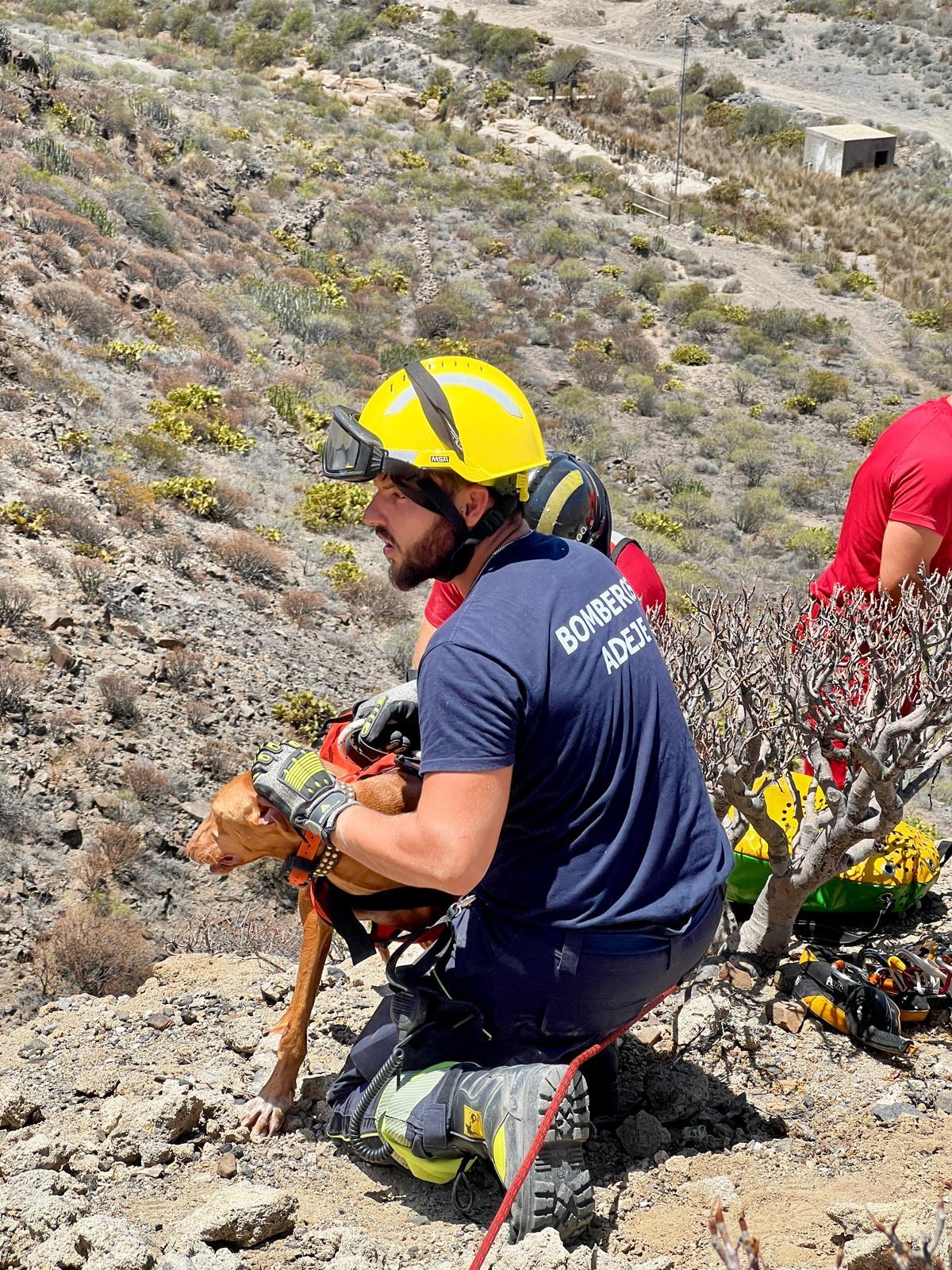 Teneriffa-Süd, Adeje: Bilanz der Freiwilligen Feuerwehr 1 Bilanz 1