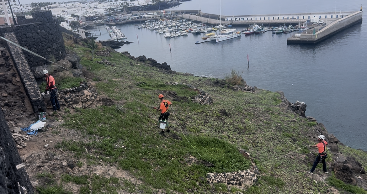 Lanzarote, Tías: Großputz in den Riscos La Tiñosa 1 Grossputz