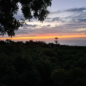 IMG 20220601 214407 132