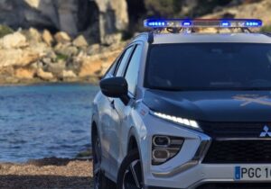 Gran Canaria-Ost, Agüimes: Massiver Reifendiebstahl aufgeklärt 6 Massiver