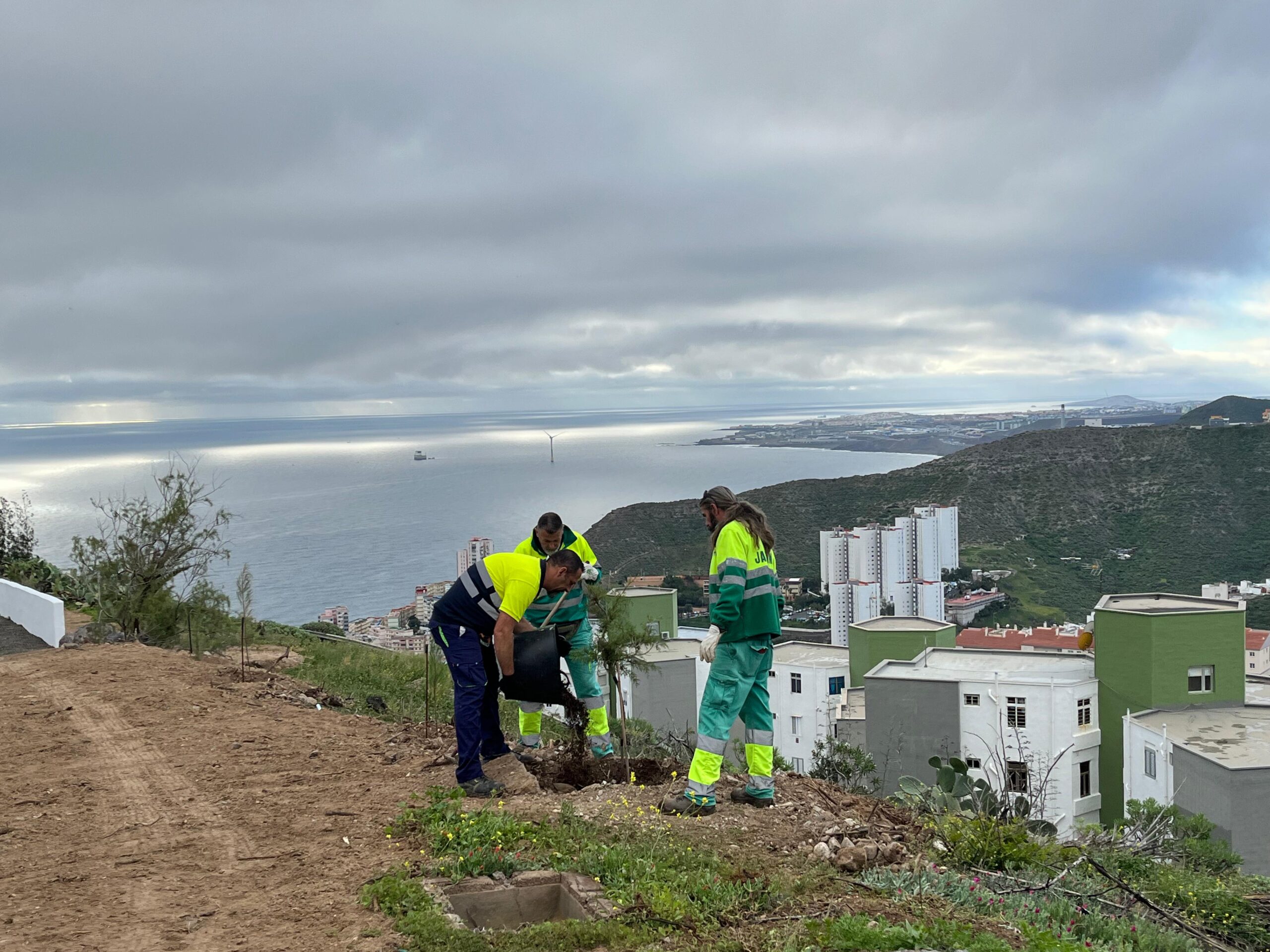 Renaturierung scaled