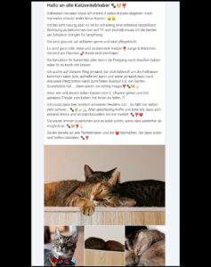 Screenshot 2026 02 22 15 02 07 285 com.miui .mediaeditor edit