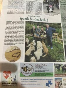 Teneriffa-Nord, Icod de los Vinos: Spenden für die Finca Kunterbunt 33 Spenden Finca Kunterbunt