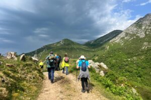 Teneriffa-Ost, El Rosario: Wanderprogramm beginnt 10 Wanderprogramm