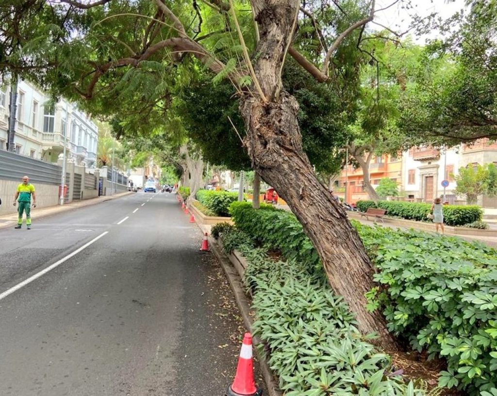 neue Stadtverordnung