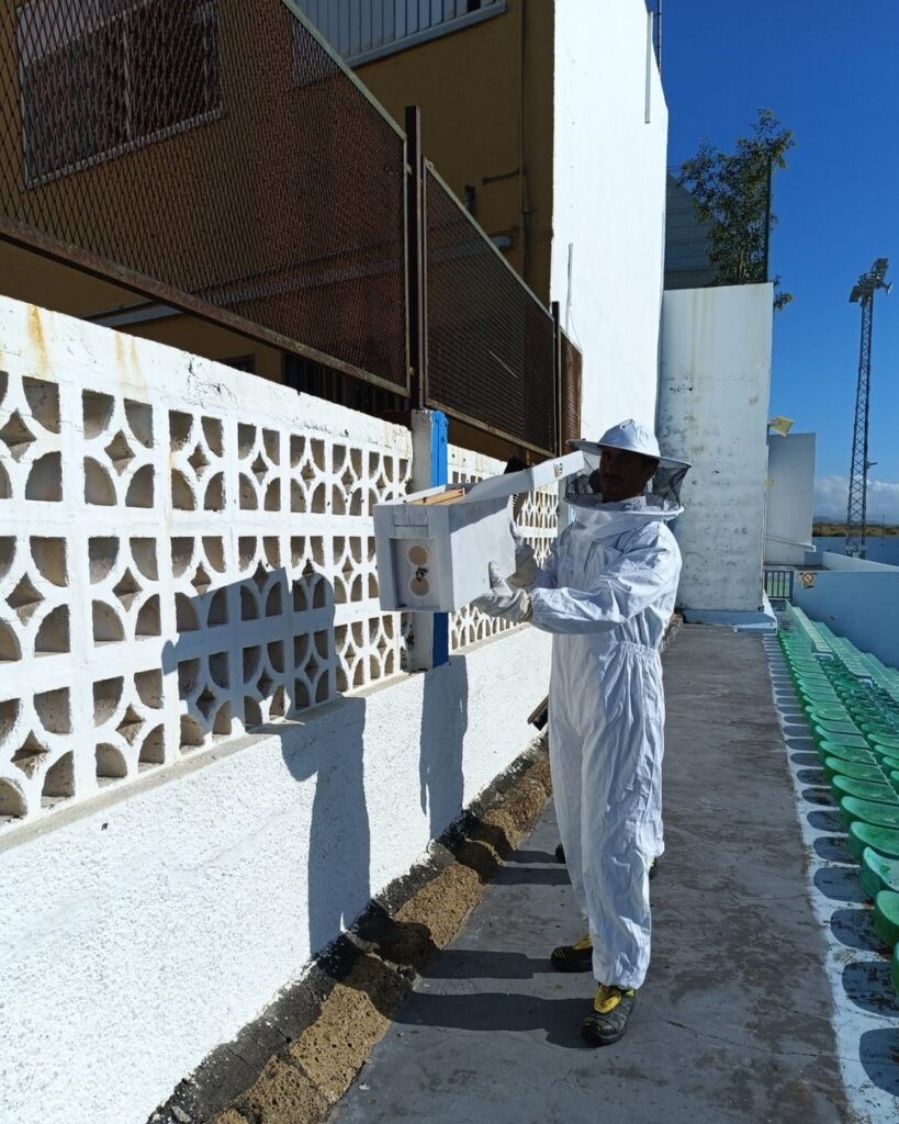 Teneriffa-Ost, Güímar: Feuerwehreinsatz gegen Bienenvolk 100 Feuerwehreinsatz