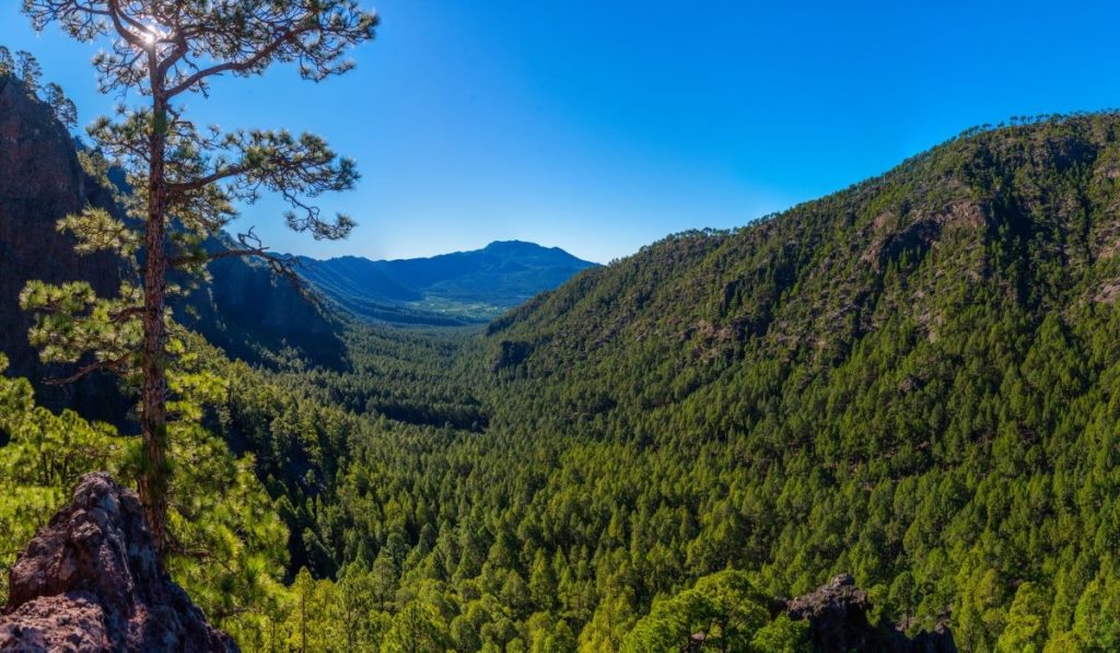 La Palma, Tijarafe: Künstliche Intelligenz gegen Waldbrände 93 KUenstliches