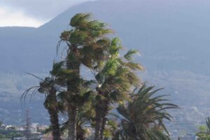 RS729731 sm Borrasca THERESE 15 scr 1024x683 1