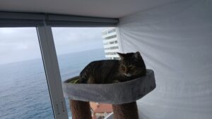 17759251393952942621254740392191