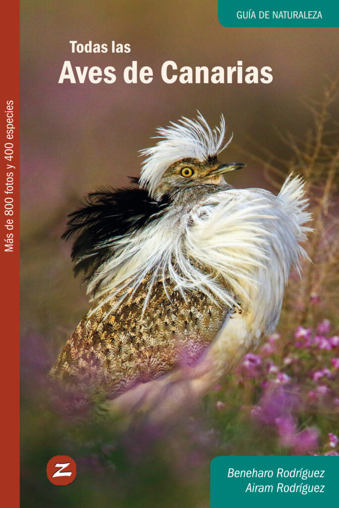 Aves de Canarias