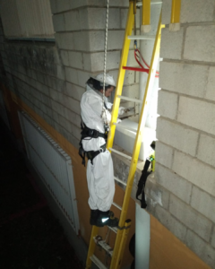 Teneriffa-Nord, La Orotava: Bienenschwarm in der Schule 14 Bienenschwarm