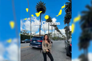 Kanarische Inseln: Hollywoods Palmen stammen von den Kanaren 2 Hollywoods