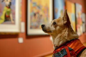 Teneriffa-Nordost, Santa Cruz: Museumsbesuch mit Haustier 1 Museumsbesuch