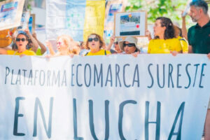 Teneriffa-Süd, Granadilla de Abona: Offshore-Windpark gefährdet Seegraswiesen 14 Offshore Park