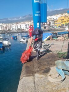 Teneriffa-Ost, Candelaria: Umweltaktion in Candelaria 11 Umweltaktion