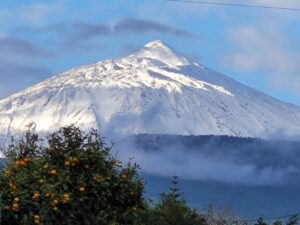 image 20221229 174402